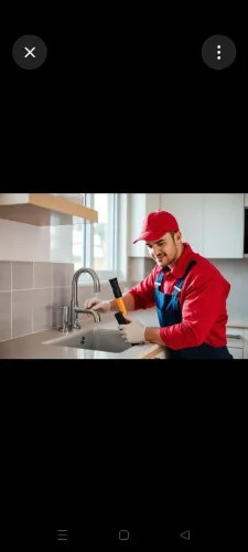 Marido de aluguel