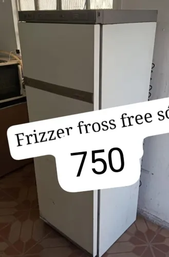 Frizzer frosfi