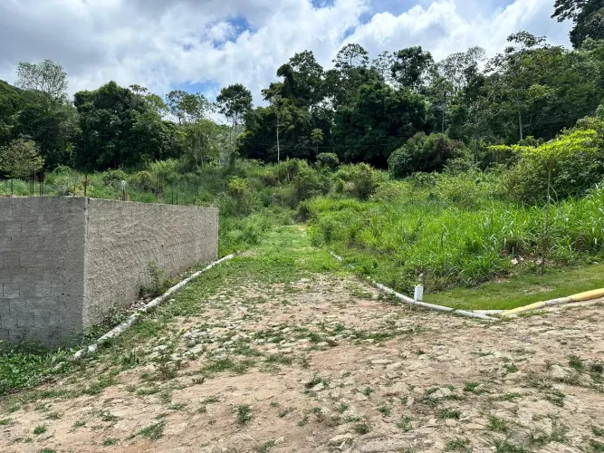 Lotes De 10X30 Na Serra De Pacoti, As Margens Da Ce 065, 3 Minutos Do Centro! Cód. KLCN3E