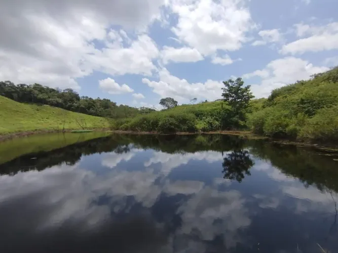 SÍTIO À VENDA POVOADO SACO, SÃO DOMINGOS/SE