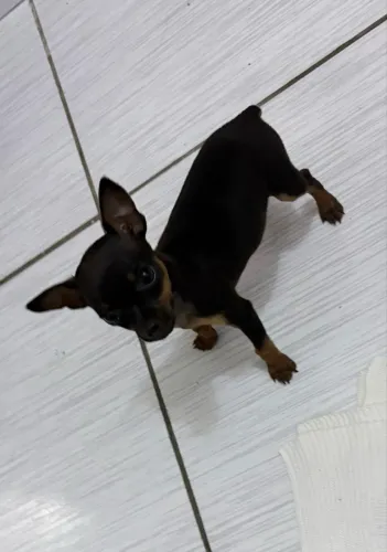 Vendas