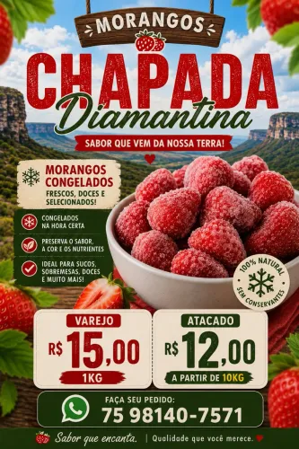 Morangos da Chapada Congelados