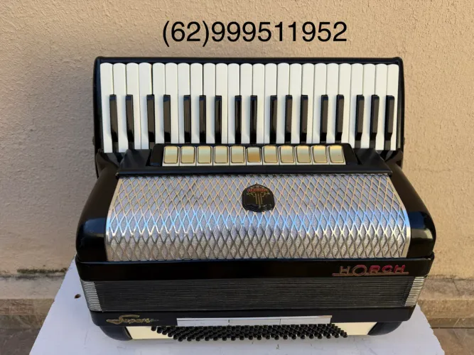 Acordeon sanfona gaita alemã 120 baixos em 4/4 de voz oitavada 