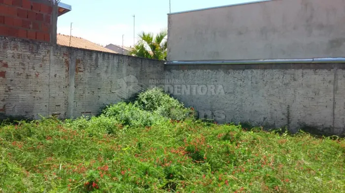 Aroeira II - Casa em bom local, com 2 dorms, sendo 1 tipo apto, quintal