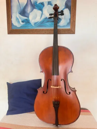 Violoncelo Eagle CE 300 Ajustado por Luthier