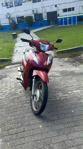Biz 110 2021