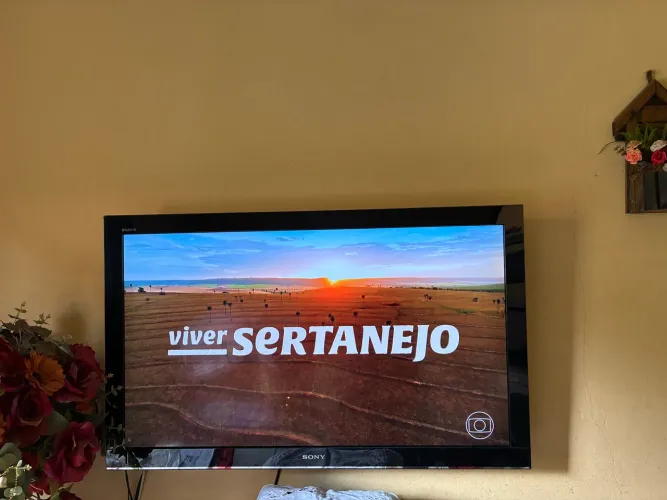 Televisão 50 polegadas