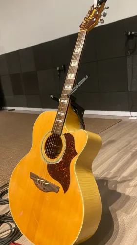 Takamine Eg523sc ?
