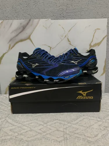 Mizuno prophecy 5