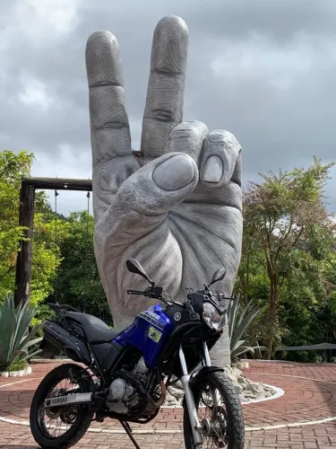 Yamaha XTZ 250 Tenere/tenere Blueflex 2014