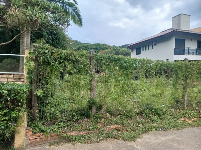 Terreno plano com 605m² na Praia Brava, Florianópolis