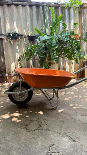 Carrinho de mão / Seminivo