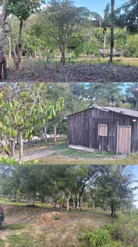 Sitio no KM38 da Estrada de Novo Airão