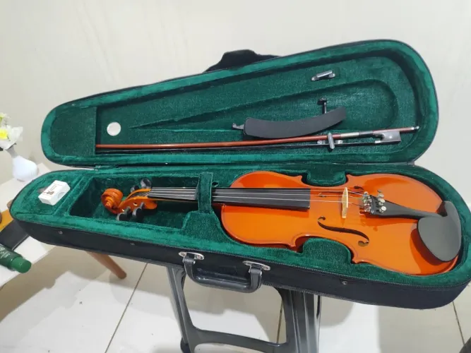 Violino Michael Vnm40