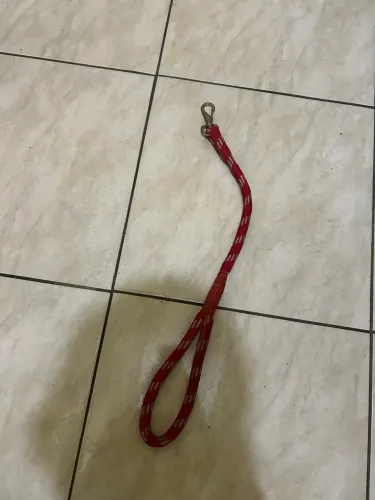 Guia de passeio 