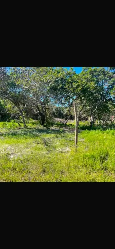 Vende-se terreno 