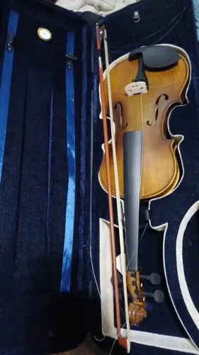 Violino