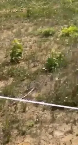TERRENO NA BEIRA DA BA-504 - EXCELENTE PONTO COMERCIAL!