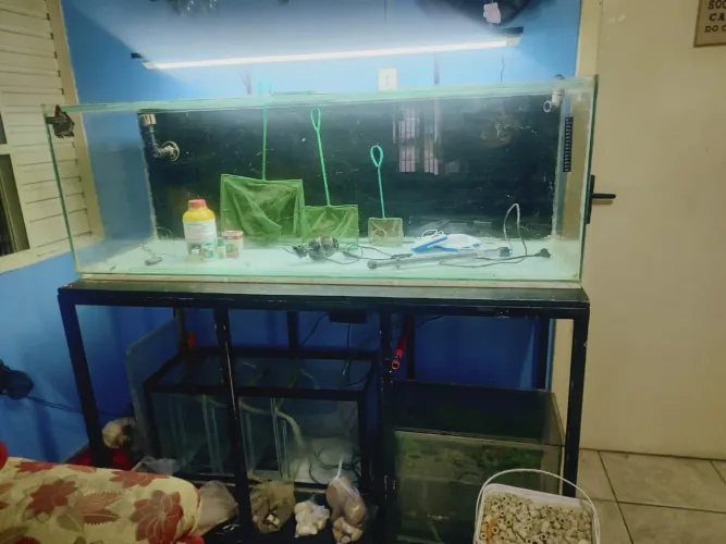 Aquario 400 litros completo