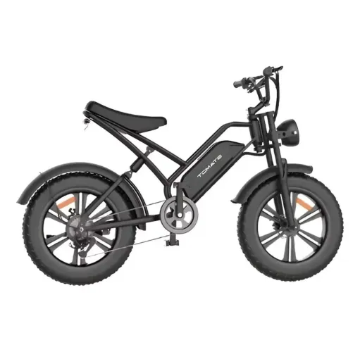 Bicicleta Elétrica (NOVA) - bateria potente -