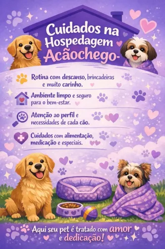 Creche e Hospedagem Pet 