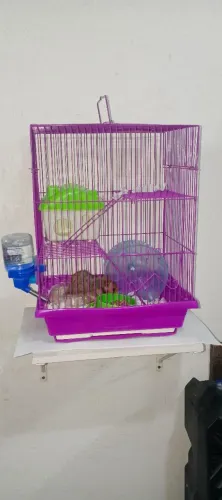 Gaiola de Hamster completa com tubos