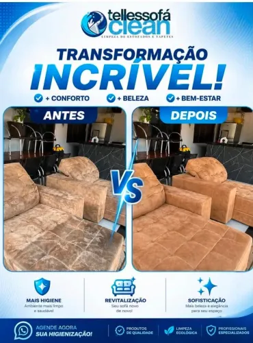Lavagem a seco - especial