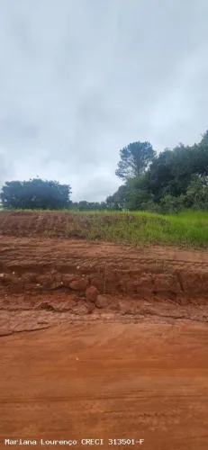 Terreno em Condomínio para Venda em Pardinho, NINHO VERDE 2