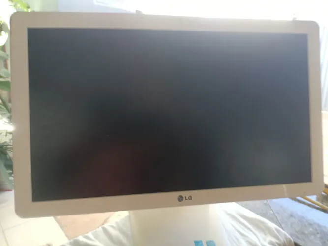 Apenas o display a placa mãe está queimada