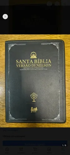 Bíblia de estudo Santa Bíblia DiNelson