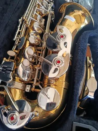 Saxofone Alto Slade- Novo- Garantia de 6 meses- Envio Imediato para Todo Brasil