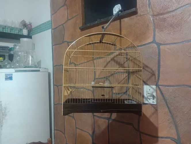Vende-se gaiola top