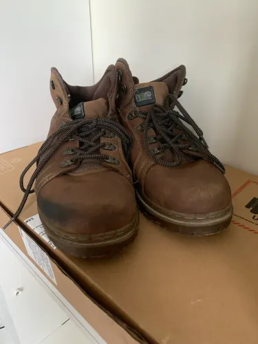 Bota
