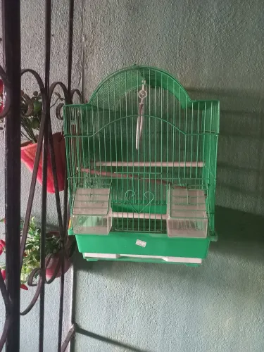 Gaiola