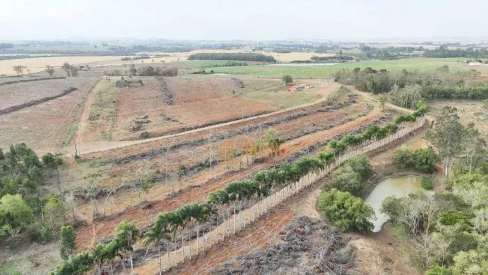 Excelente Fazenda com Eucalipto à Venda na Região de Tatuí/SP