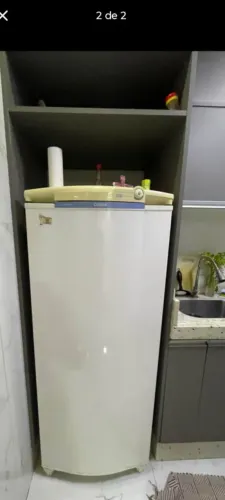 Geladeira 1 porta degelo seco