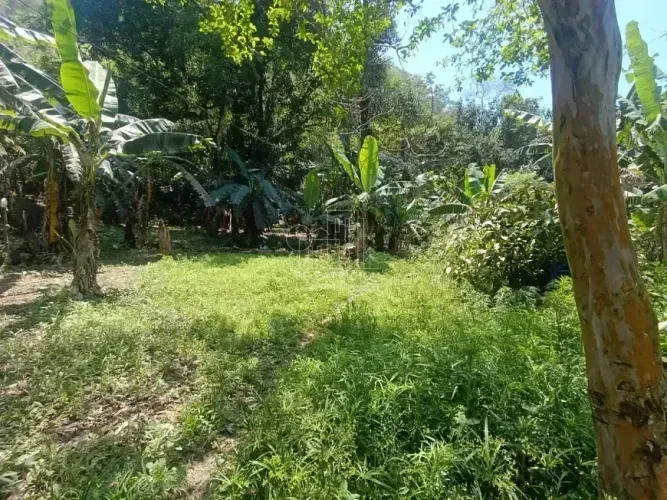Terreno à venda, Paiol, Guapimirim, RJ