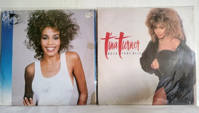 Whitney e Tina Turner vinil