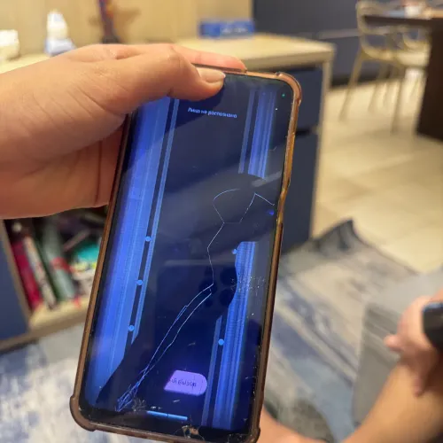 Motorola g53