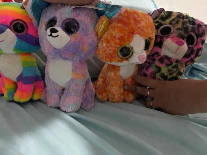 Gatos de pelúcia