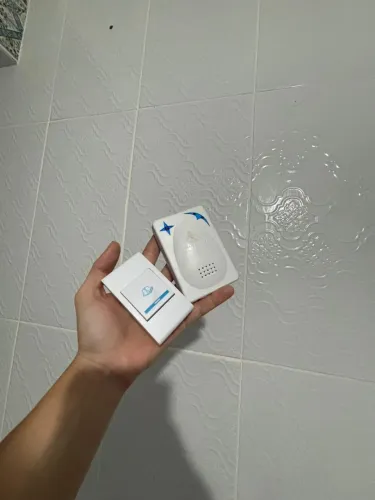 Companhia sem fio
