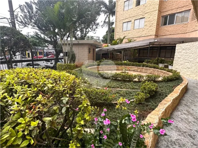 Apartamento com 3 quartos à venda em Vila guilherme - SP