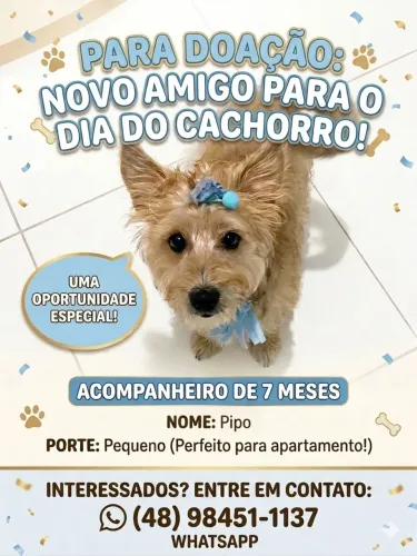 Doação