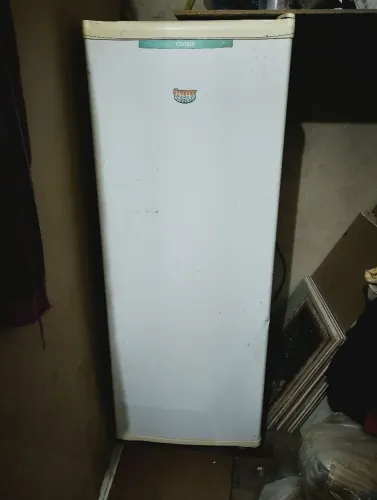 Freezer vertical