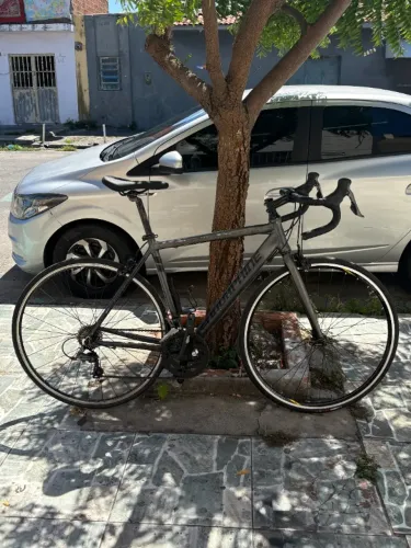 Bicicleta Speed Endorphine Fast 20 | Shimano Claris