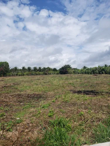 Terreno 700m² (14x50) - Vale Verde/Arraial D'Ajuda (Condomínio Rural - Jardim do Vale)