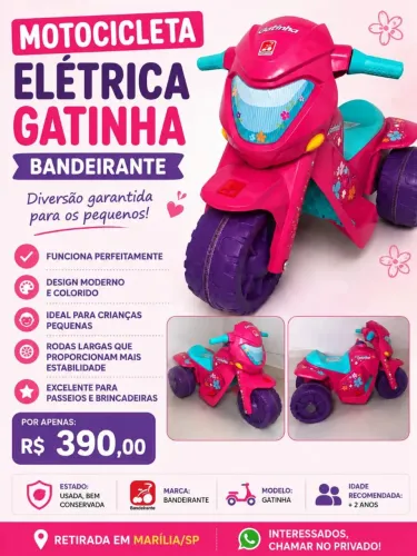 Moto elétrica