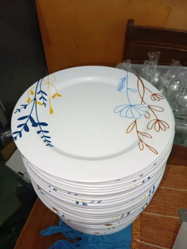 Vendo 75 Pratos de Melamina para Refeição 