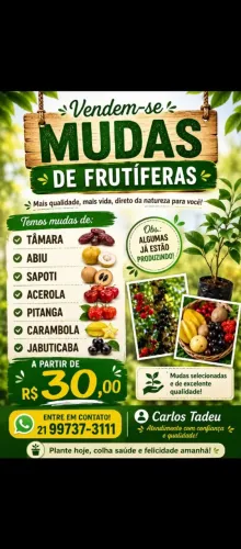 Plantas 