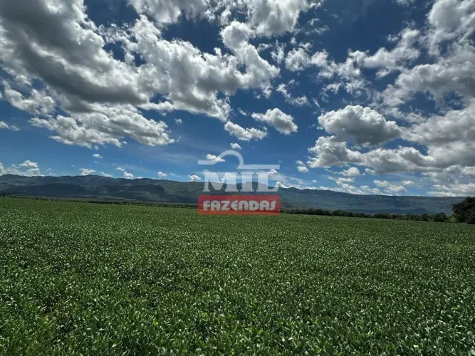 Fazenda 363 alqueires ( 1.760 hectares ) Colinas do Sul-GO